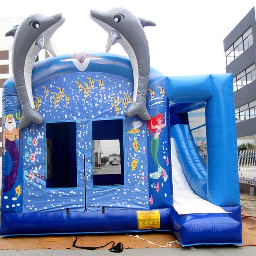 Inflatable Combo CB24